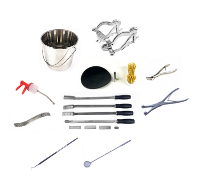 Dentistry Starter Kits